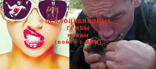 а пвп мука Гусев