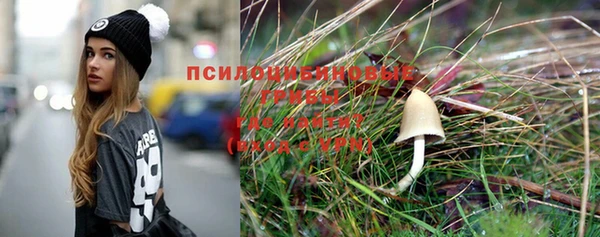 Альфа ПВП Гусиноозёрск