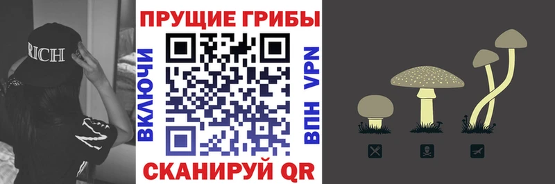 Галлюциногенные грибы MAGIC MUSHROOMS  Озёры 